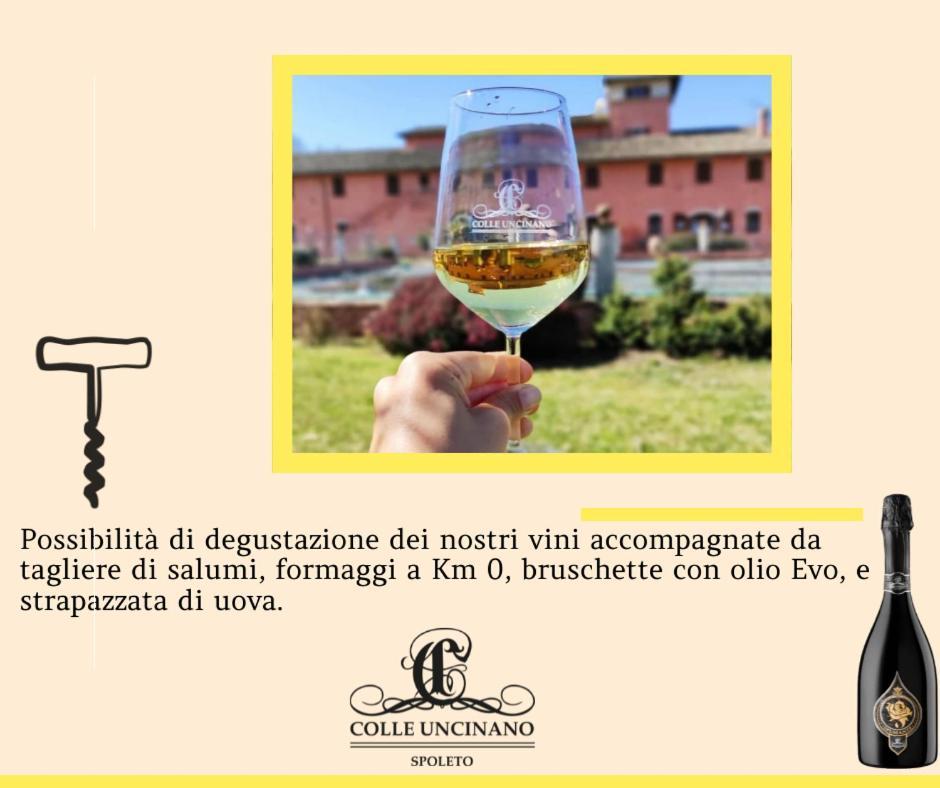 Agriturismo Il Molino Antico - 5 Girasoli Сполето Екстериор снимка